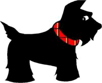 Original Scotty Image